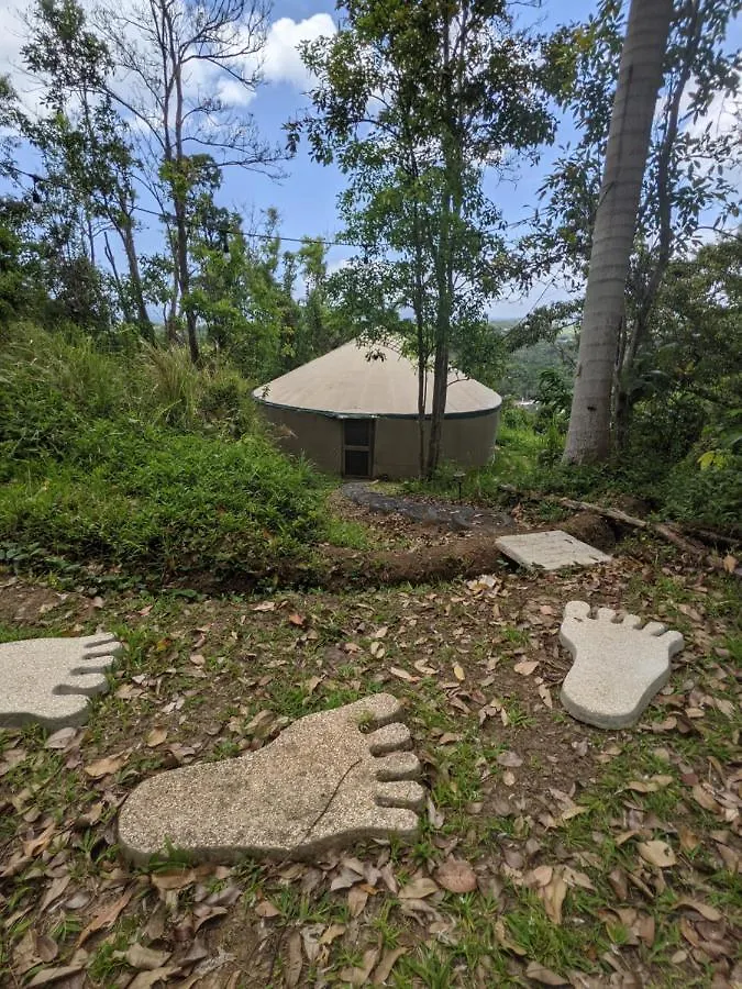 La Casa De Vida Natural Rio Grande Puerto Rico