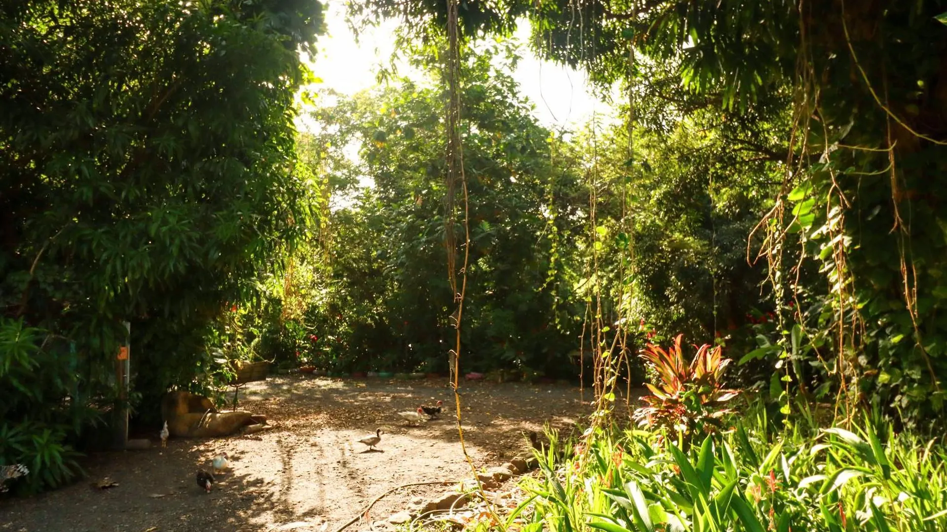 La Casa De Vida Natural Rio Grande Bed & Breakfast